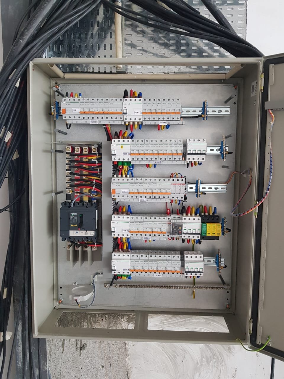 WhatsApp Image 2026-02-24 at 12.47.00 (2)